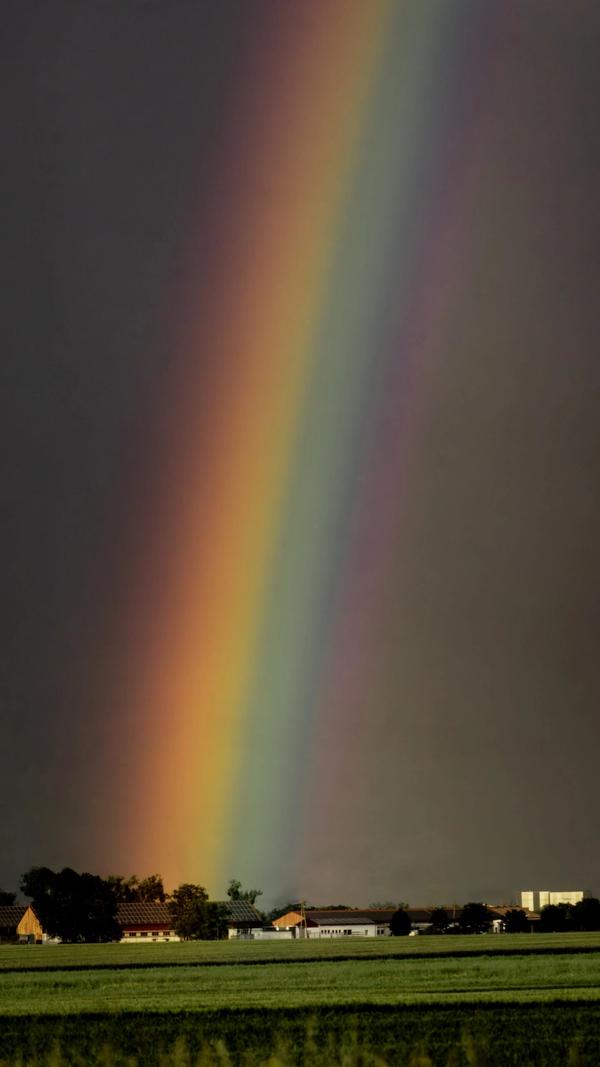 Regenbogen von Kyno-Adventure