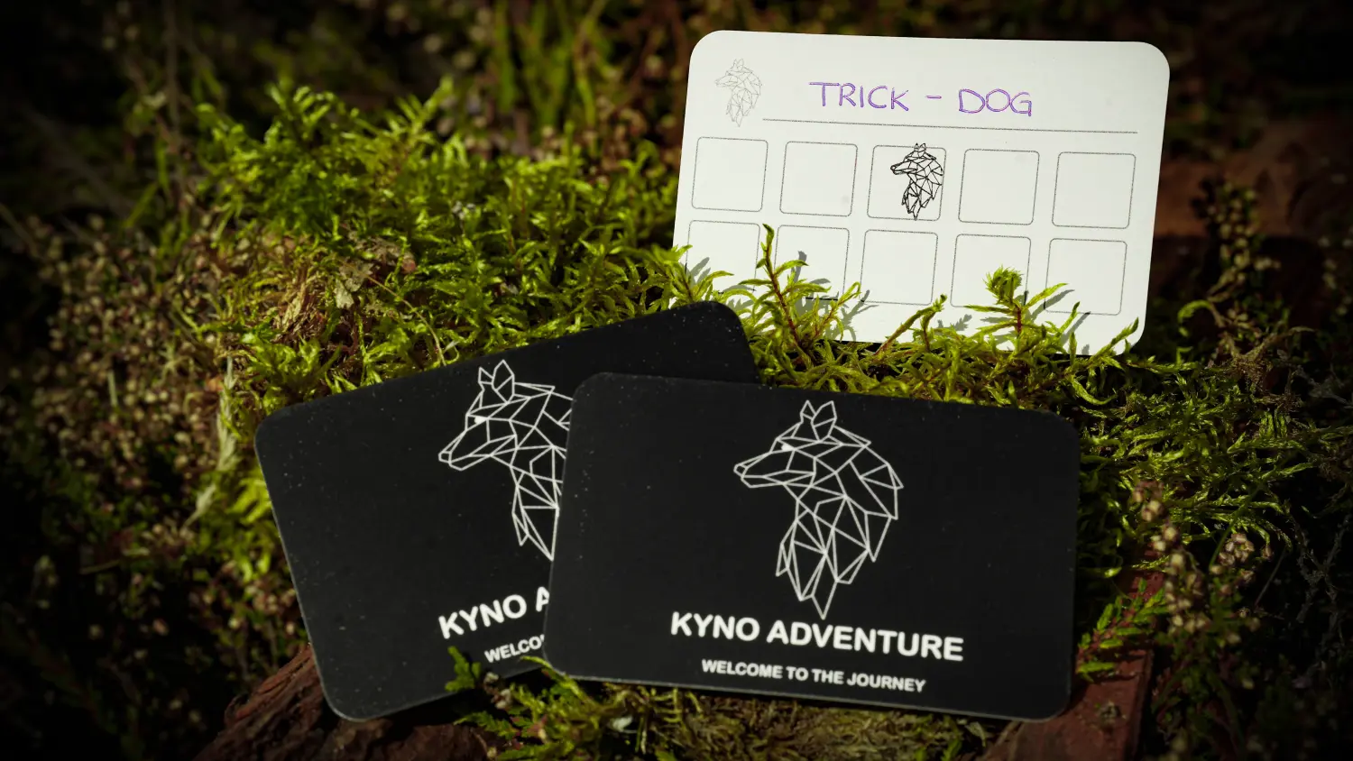 Kyno-Adventure-Geschenke